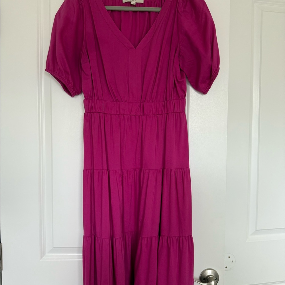 Elegant Magenta Dress